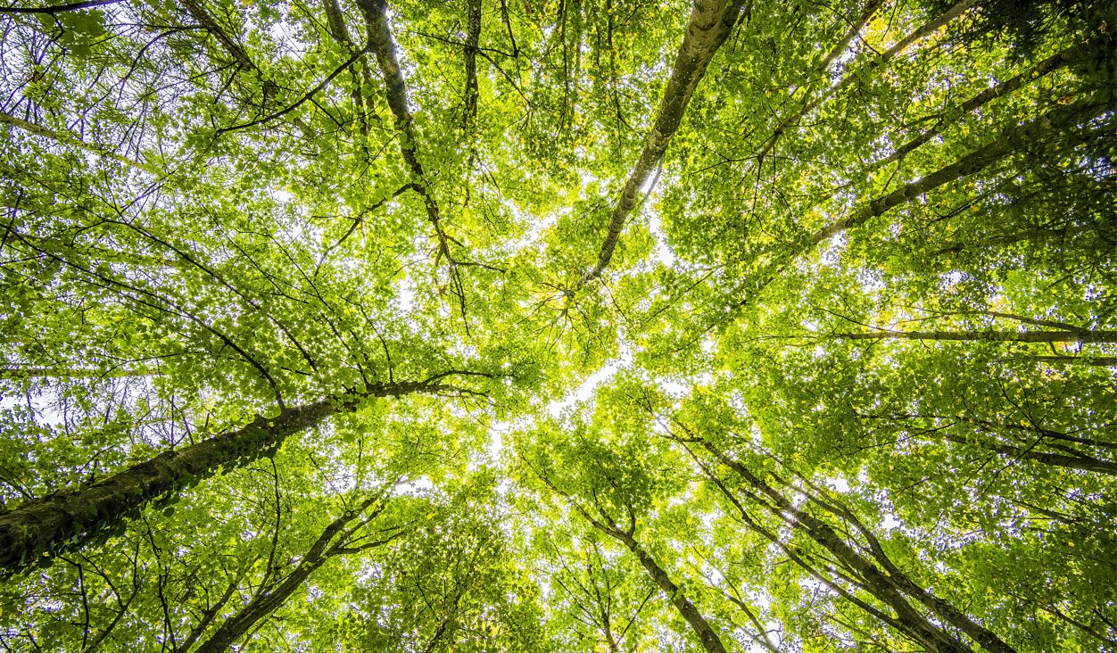 person carrying a stack of papers 